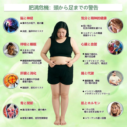 🎁 残りあと5箱！さらに50%オフでご提供します！健康的な体を手に入れましょう。今すぐ始めないと、次のチャンスは来年までありません。